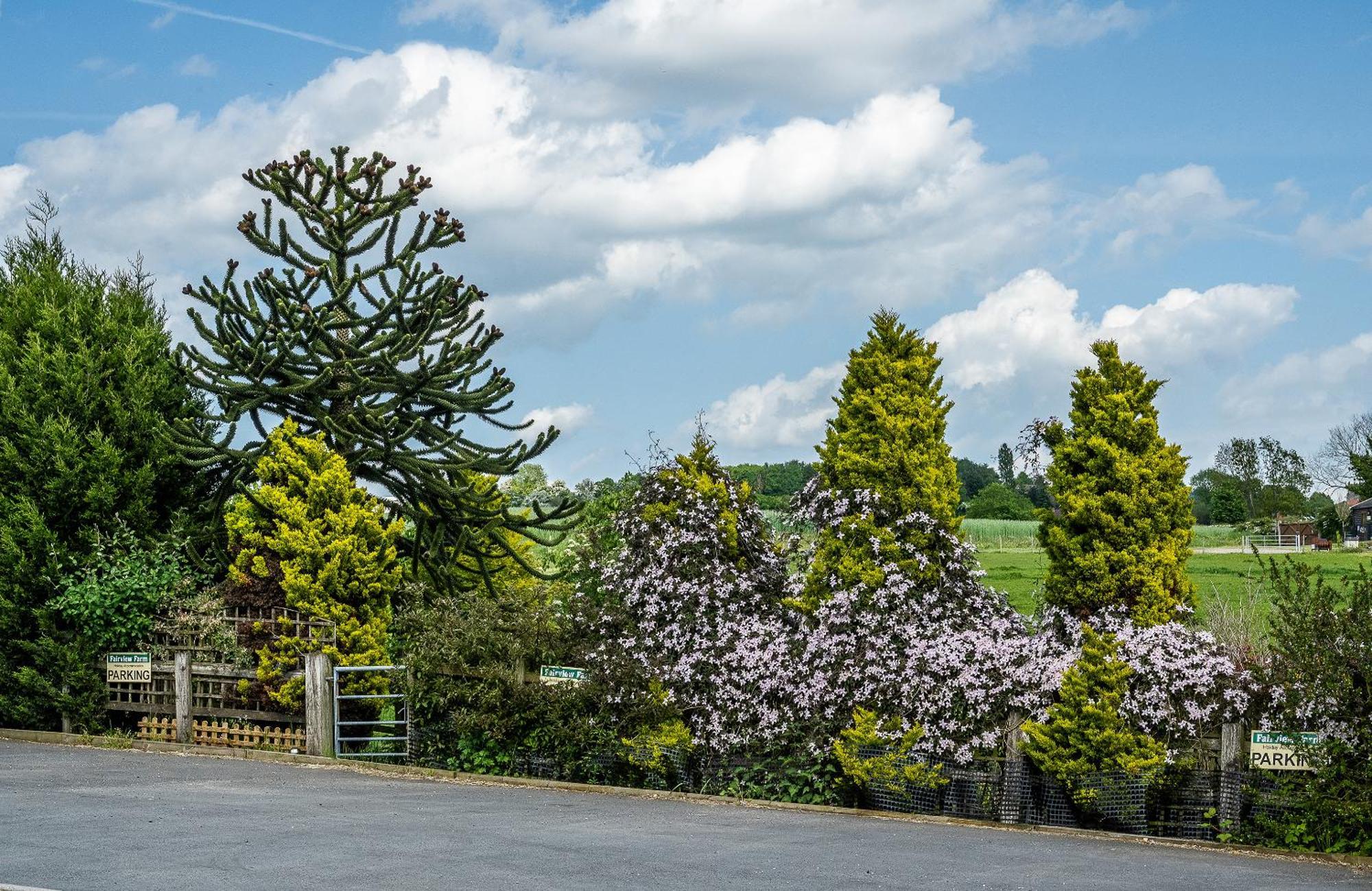 Upside Down House - Sleeps Up To 6 Guests - Great For Family And Friends Gatherings,Corporate Events ,Near Sherwood Forest At Fairview Farm In Nottingham Set In 88 Acres Экстерьер фото